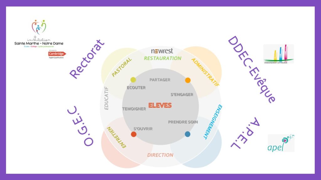 Organigramme de l'institution